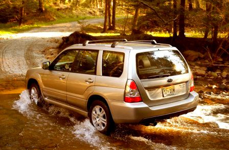 Forester 6